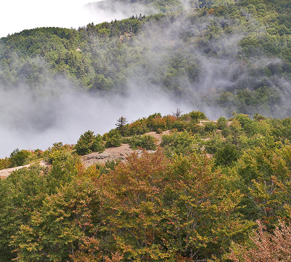 aerial view of Aspromonte National Park