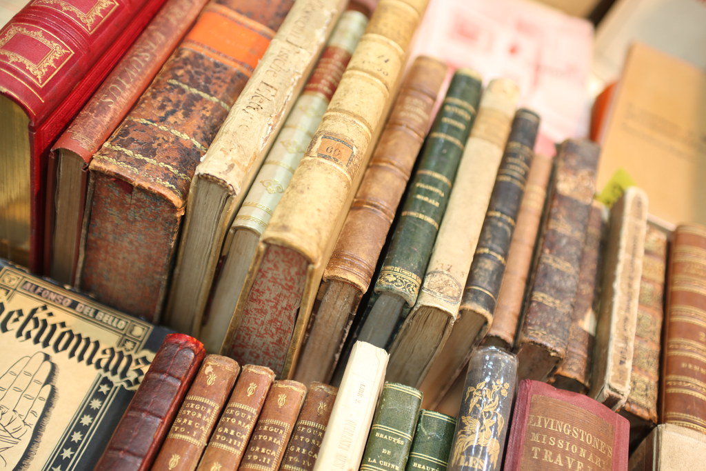 dorsi di libri antichi